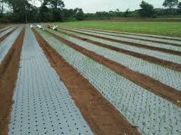 Agricultural Mulching Sheets